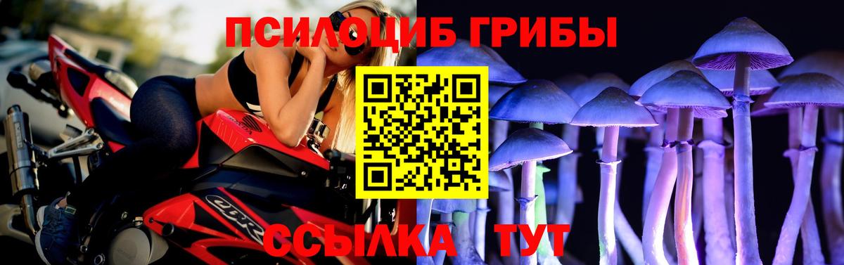 Псилоцибиновые грибы MAGIC MUSHROOMS  Вход с VPN  Россошь 